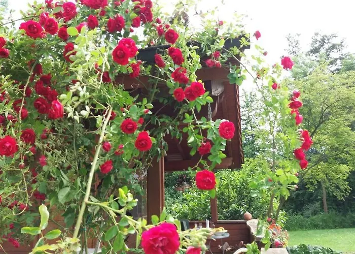 Romantisches Blockhaus An Der Maerchenstrasse! Дом отдыха Reinhardshagen